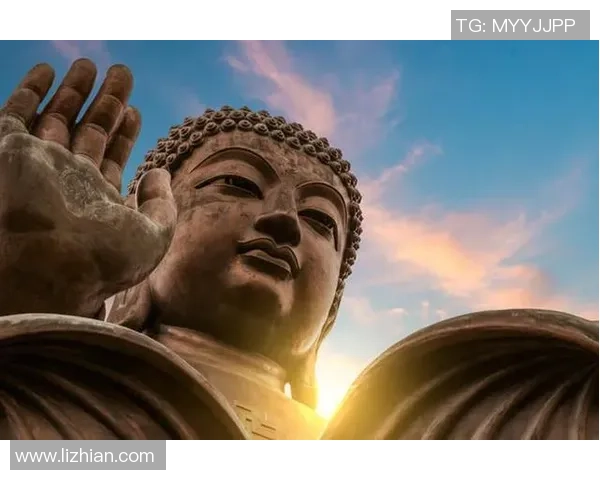 篮球巨星崛起之路 揭示他们背后的努力与奋斗